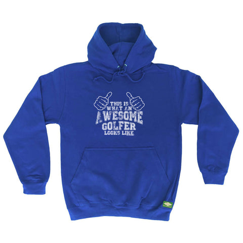 Oob This Is What An Awesome Golfer Loooks Like - Funny Hoodies Hoodie